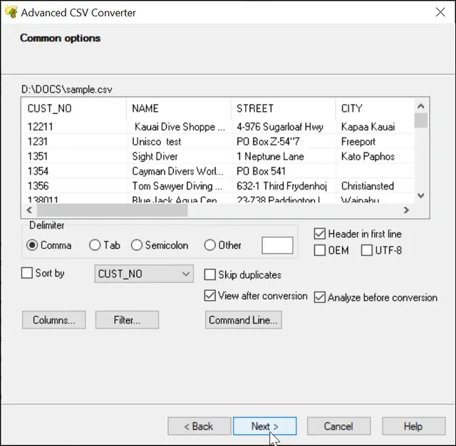 common options for csv to sql conversion